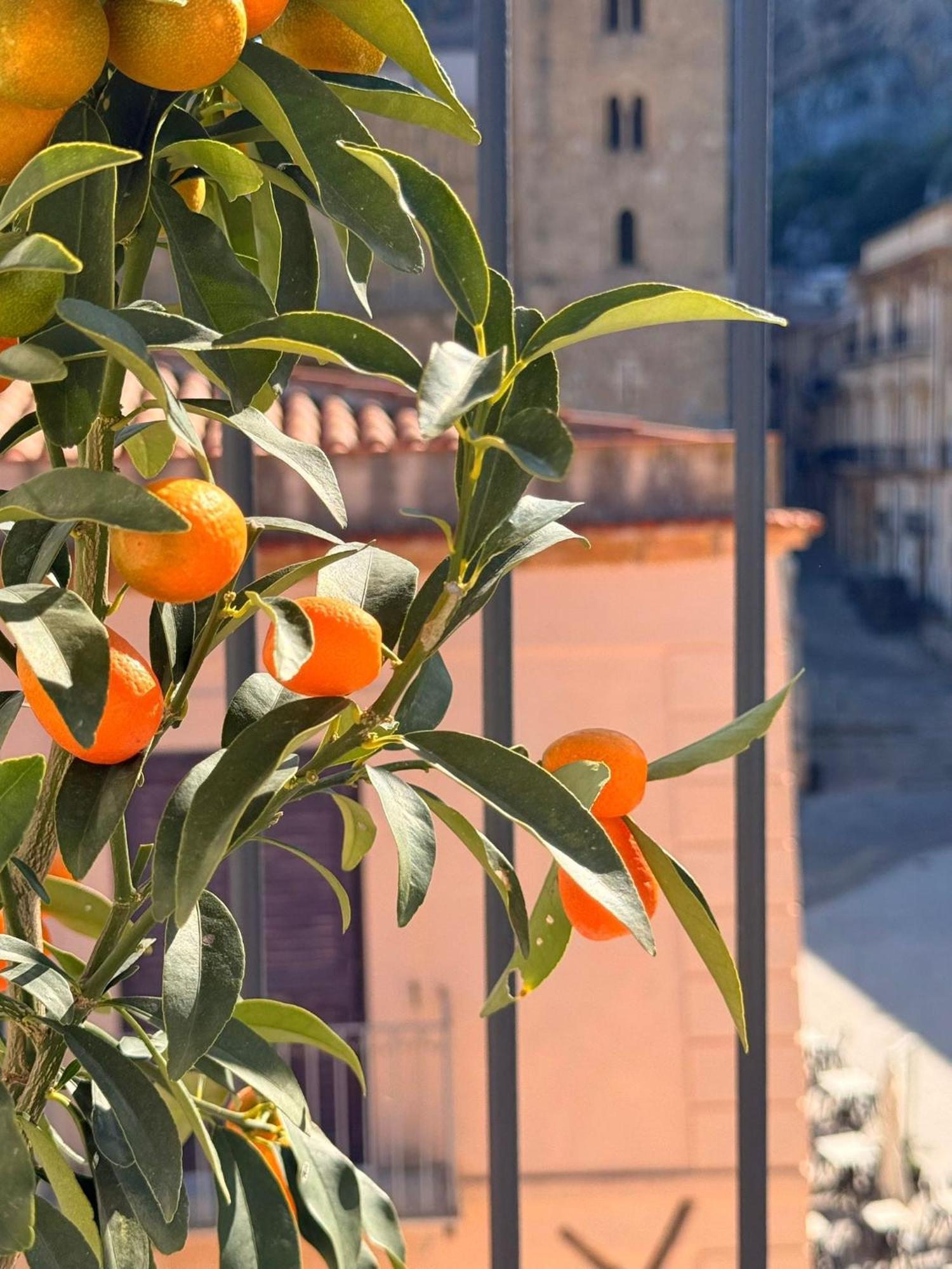 Palazzo Villelmi Cefalù Buitenkant foto
